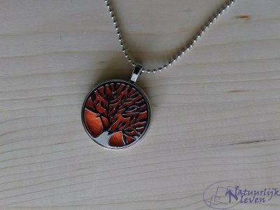 Diffuserketting boom oranje